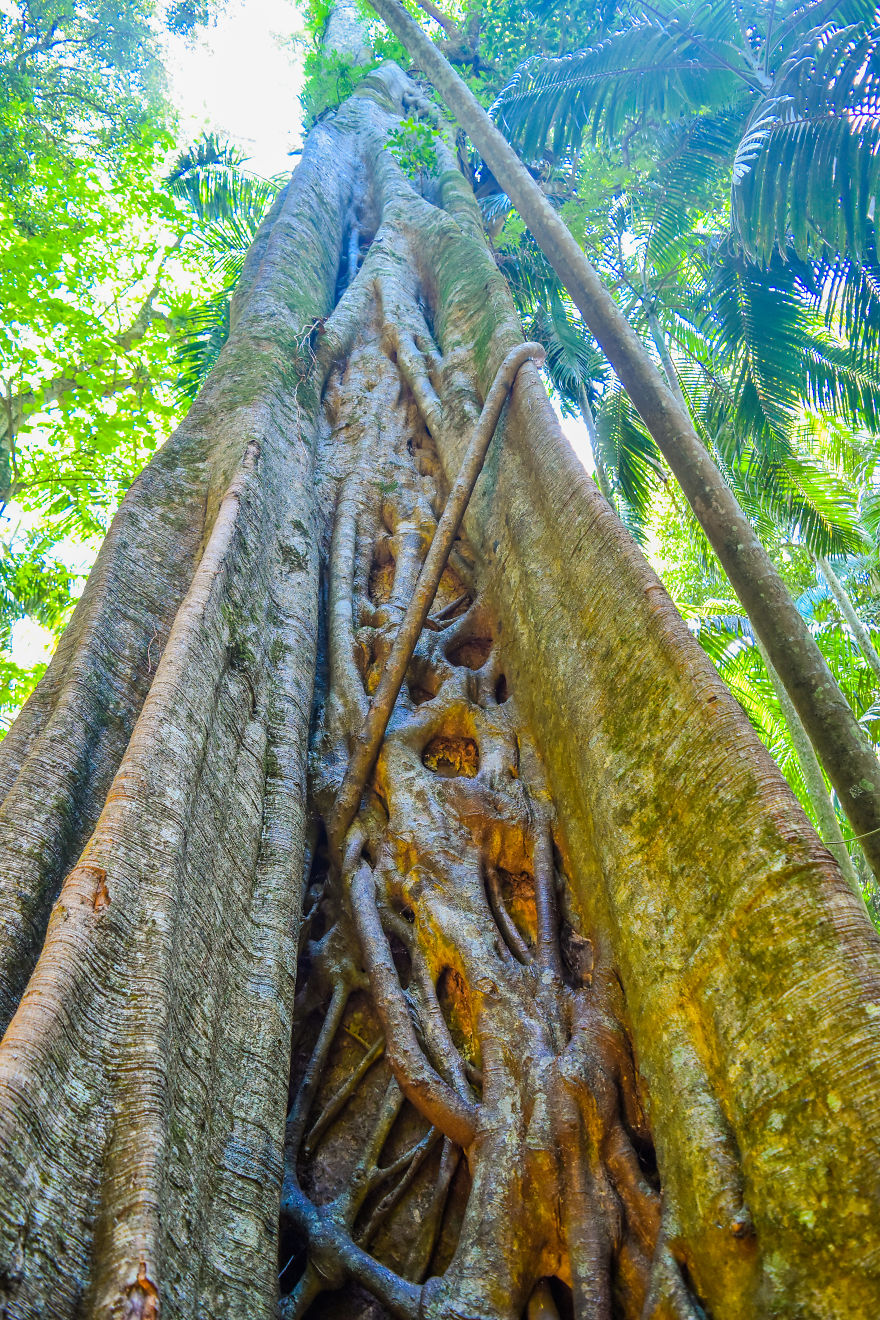 My Road Trip Along The Australian East Coast Part Two - Queensland