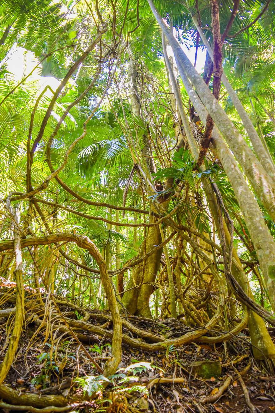 My Road Trip Along The Australian East Coast Part Two - Queensland