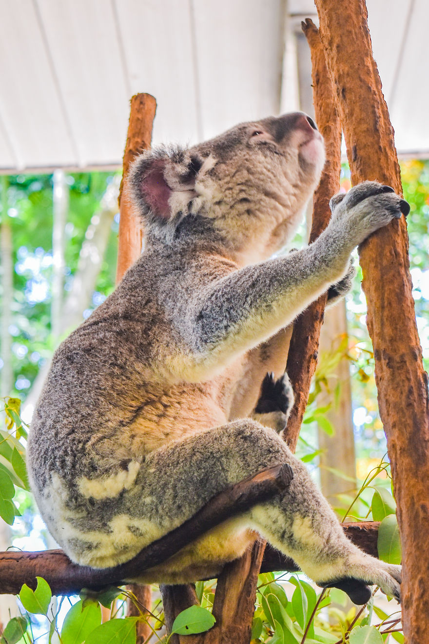 My Road Trip Along The Australian East Coast Part Two - Queensland