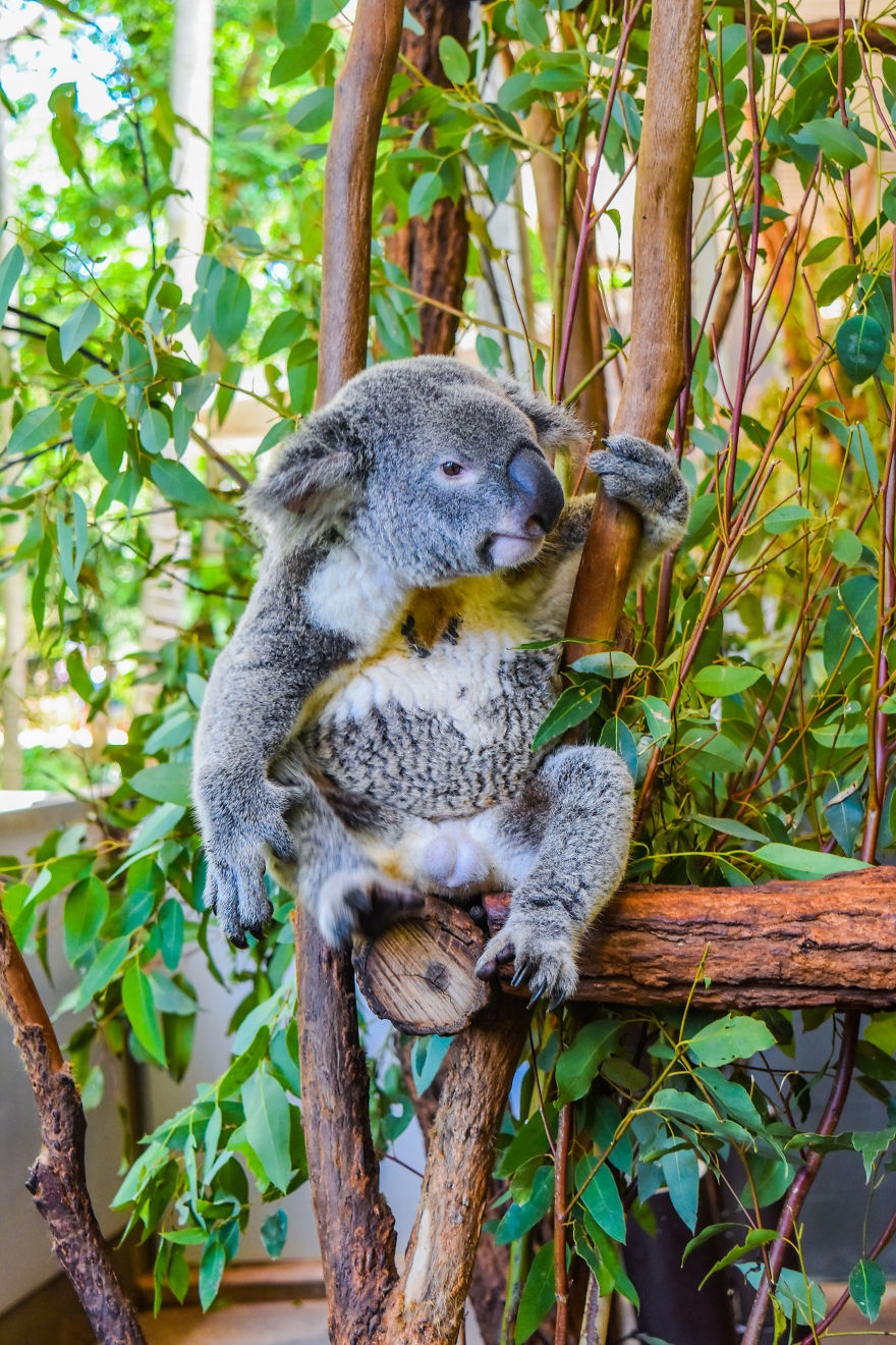 My Road Trip Along The Australian East Coast Part Two - Queensland