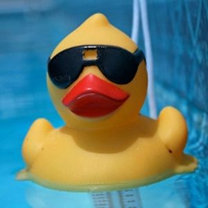 alanclessehilton avatar