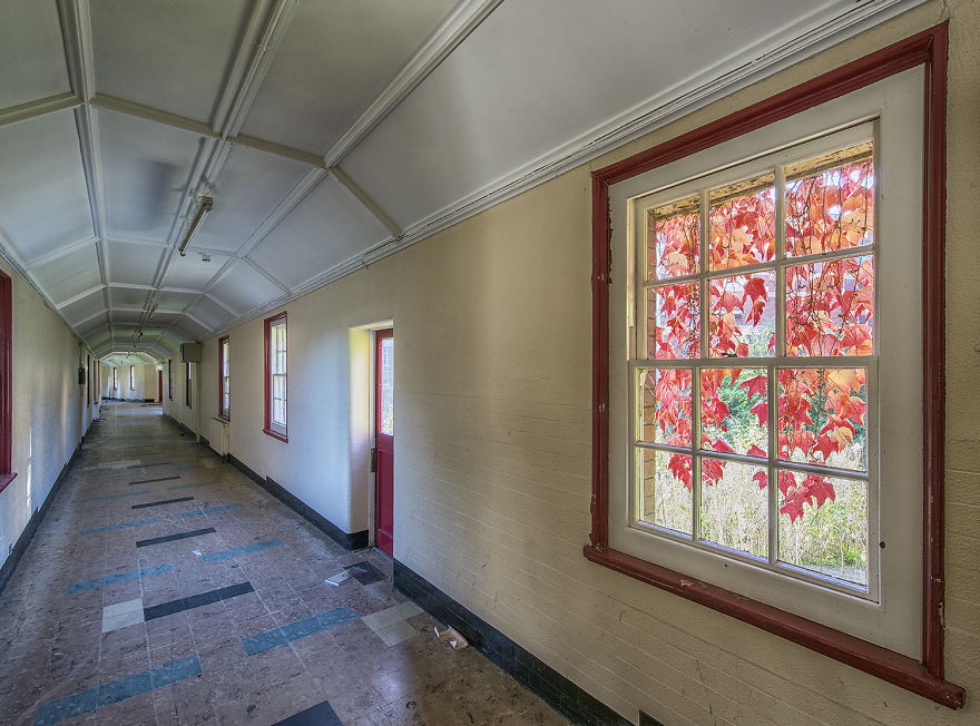 A Corridor Warmed By Autumnal Leaves