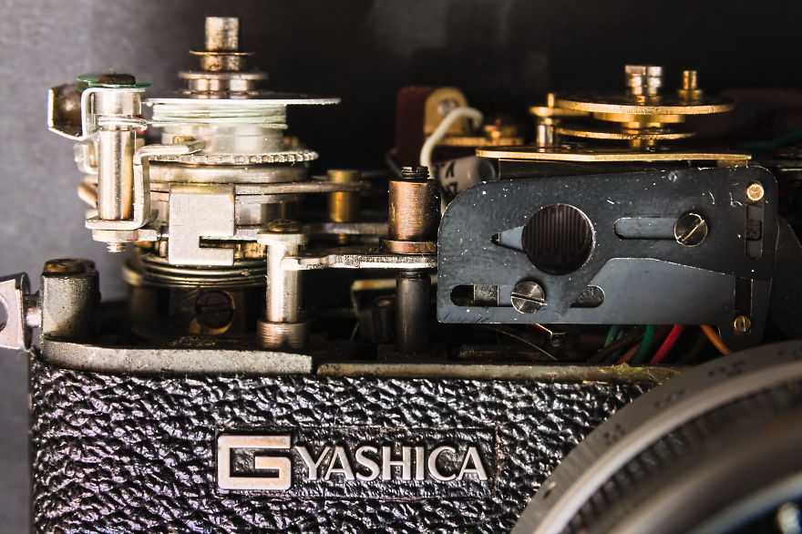 How I Resurrected A 50-Year Old Film Camera, And Discovered Its Beauty