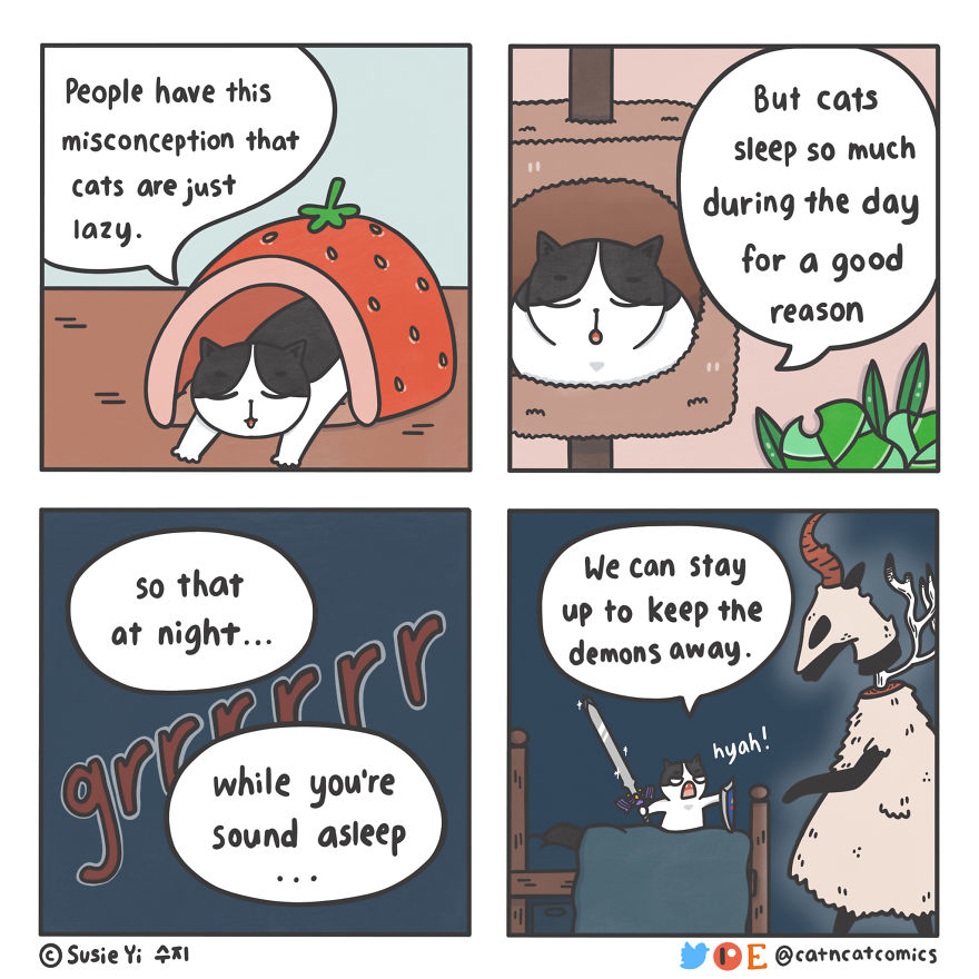 Why Cats Sleep So Much