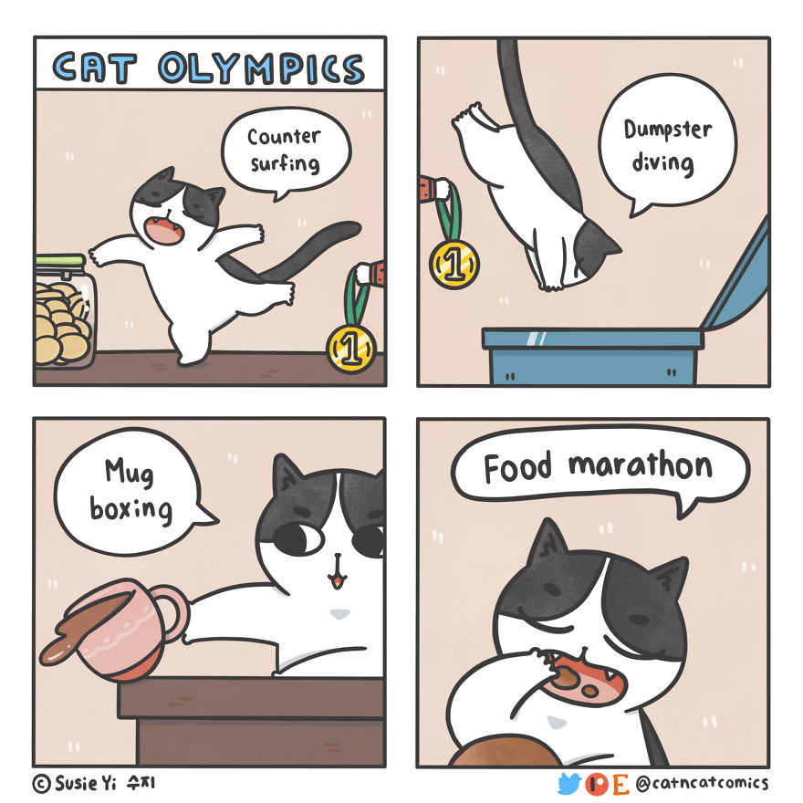 Cat Olympics