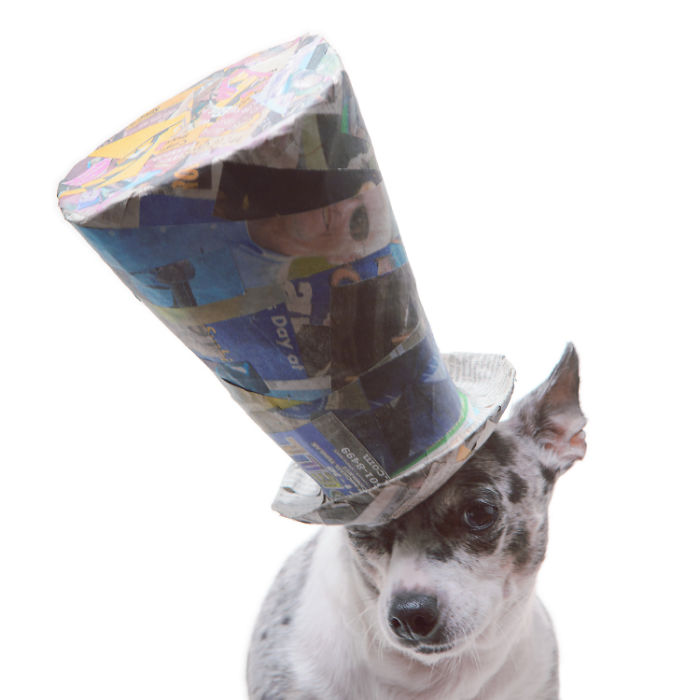 I Make Cute Hats For Dogs Out Of Trash To Prove That All Shelter Pets Deserve A Second Chance (26 Puppy Pics)