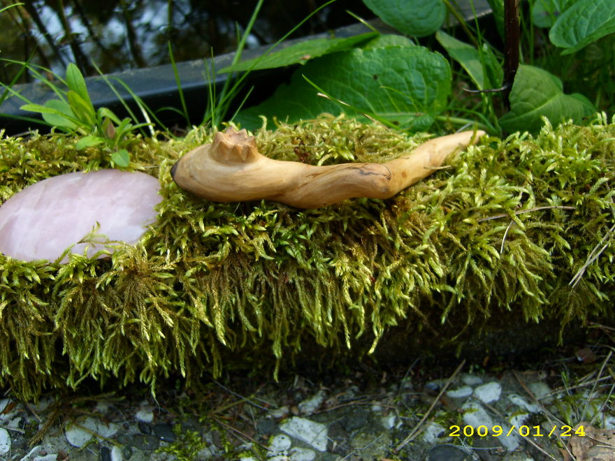 I Carve Wooden Figures And Ritual Objects I Carve Wooden Figures And Ritual Objects