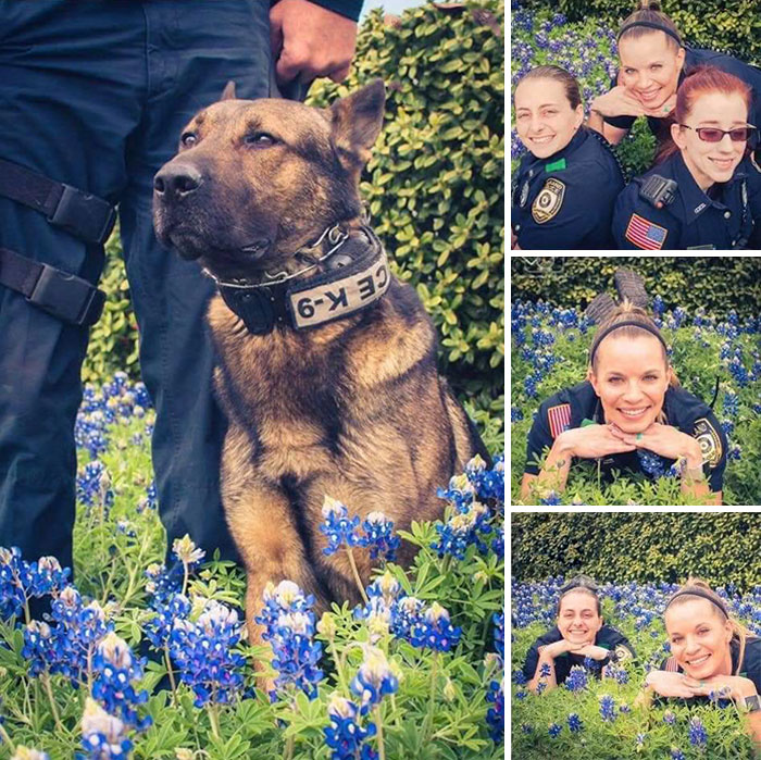 Police-Pics-Back-The-Blue-Bonnets-Texas