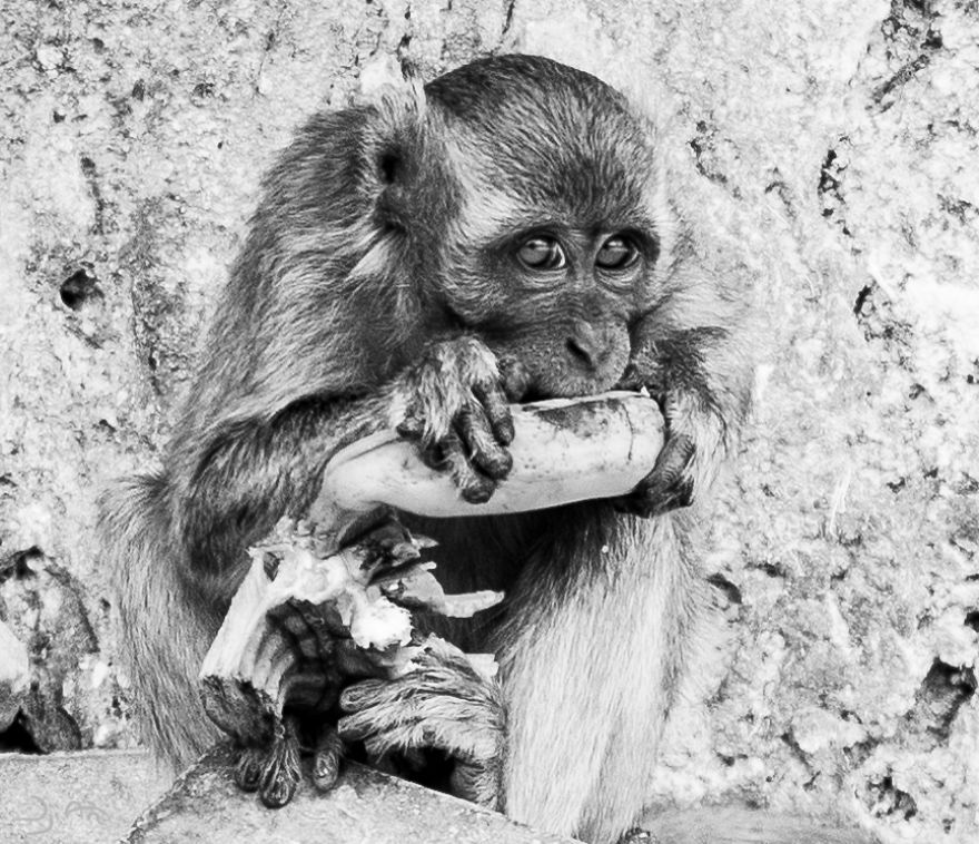 I Traveled To Malaysia, During My Worst Holidays Ever, And I Try To Photograph Its Beauty