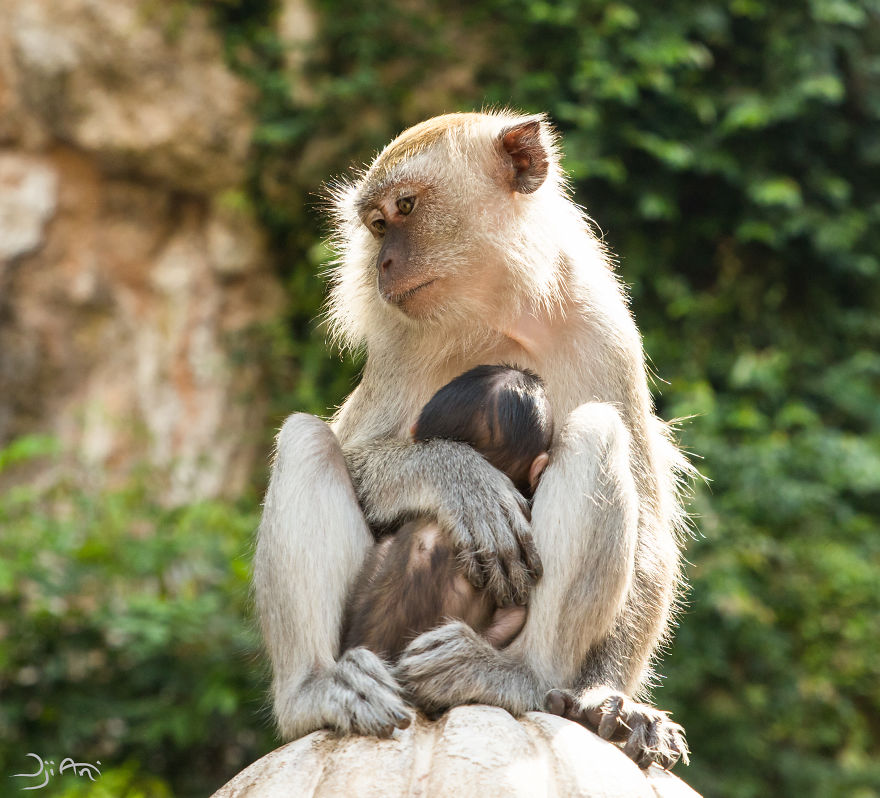 I Traveled To Malaysia, During My Worst Holidays Ever, And I Try To Photograph Its Beauty
