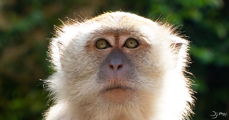 I Traveled To Malaysia, During My Worst Holidays Ever, And I Try To Photograph Its Beauty