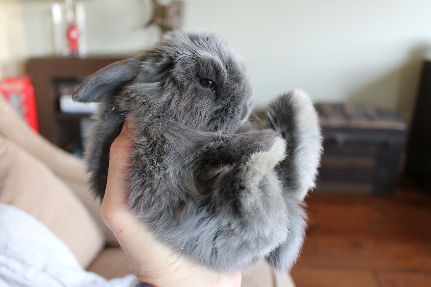 I Use My Jewelry To Memorialize Pets That People Have Lost