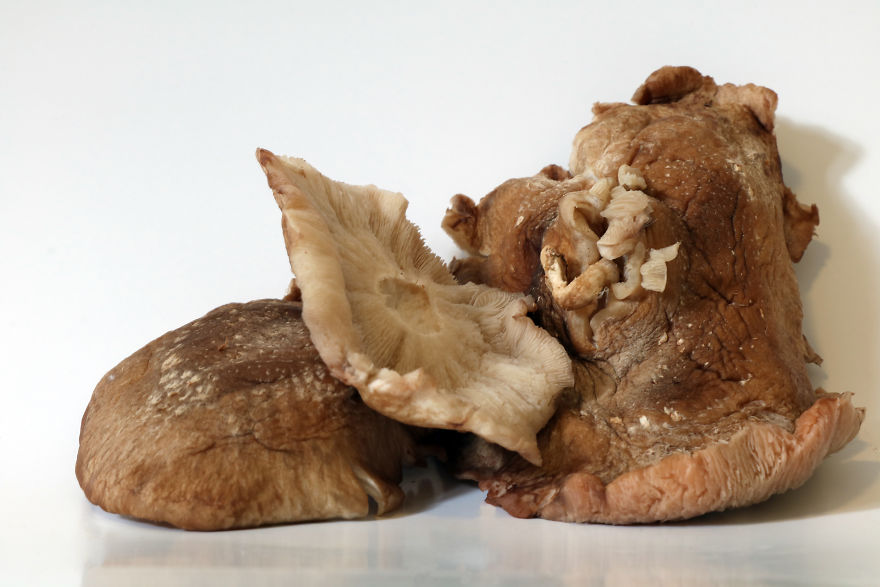 Coral Reefs Or Broccoli?