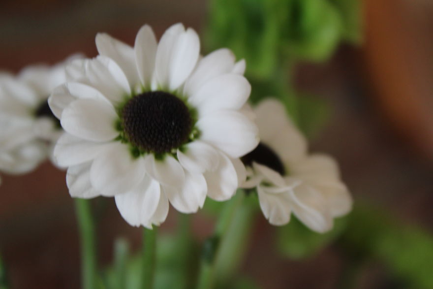 The Story Of How I Got My Camera And My Journey Of Figuring Out Photography