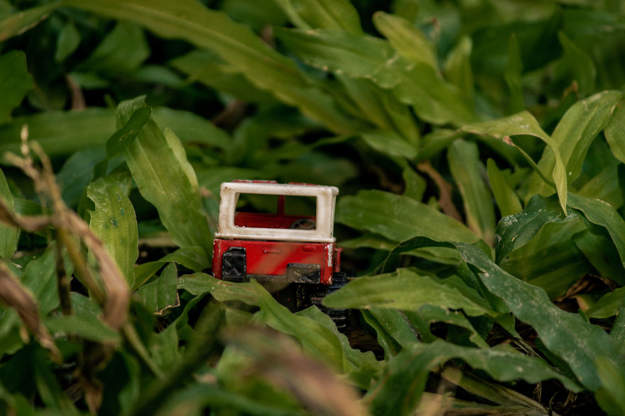 I Created A Mini 4x4 Adventure In My Garden