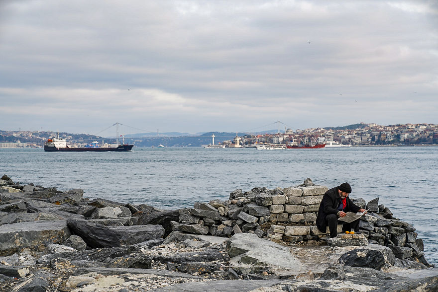 I Photographed Two Stray Cats Cuddling And I Swear This Is Not Staged