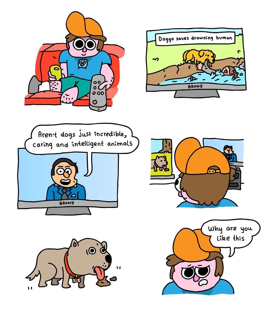 Not The Smartest Of Creatures