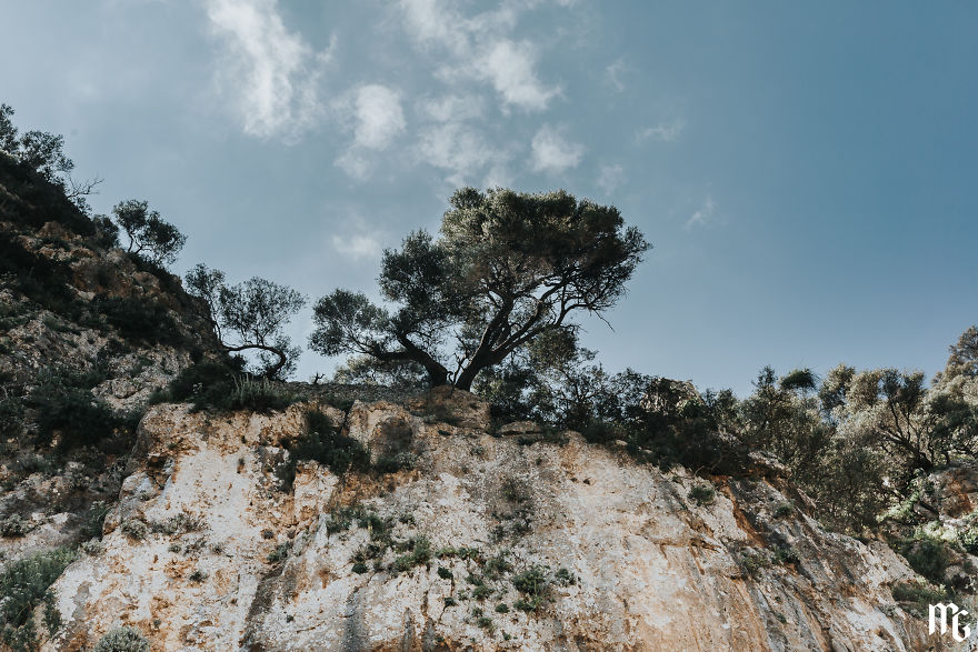 Another Random Tree. I Love That Rocky Landscape!