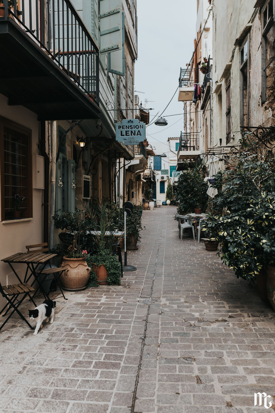 One Of The Streets Of The Chania Old Town. This Is Definitely A Cat District!