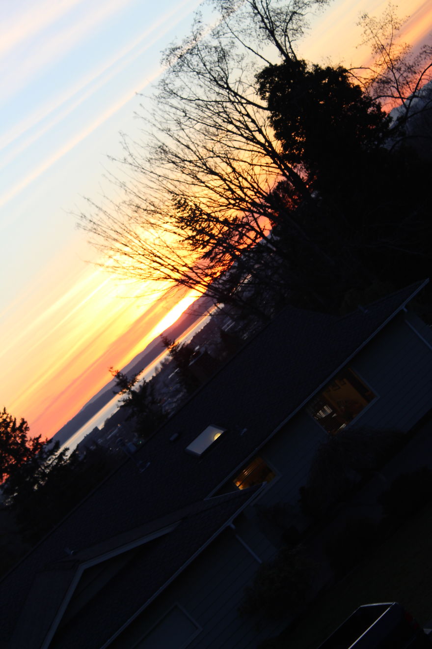 The Story Of How I Got My Camera And My Journey Of Figuring Out Photography The Story Of How I Got My Camera And My Journey Of Figuring Out Photography