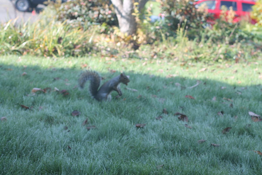 The Story Of How I Got My Camera And My Journey Of Figuring Out Photography The Story Of How I Got My Camera And My Journey Of Figuring Out Photography