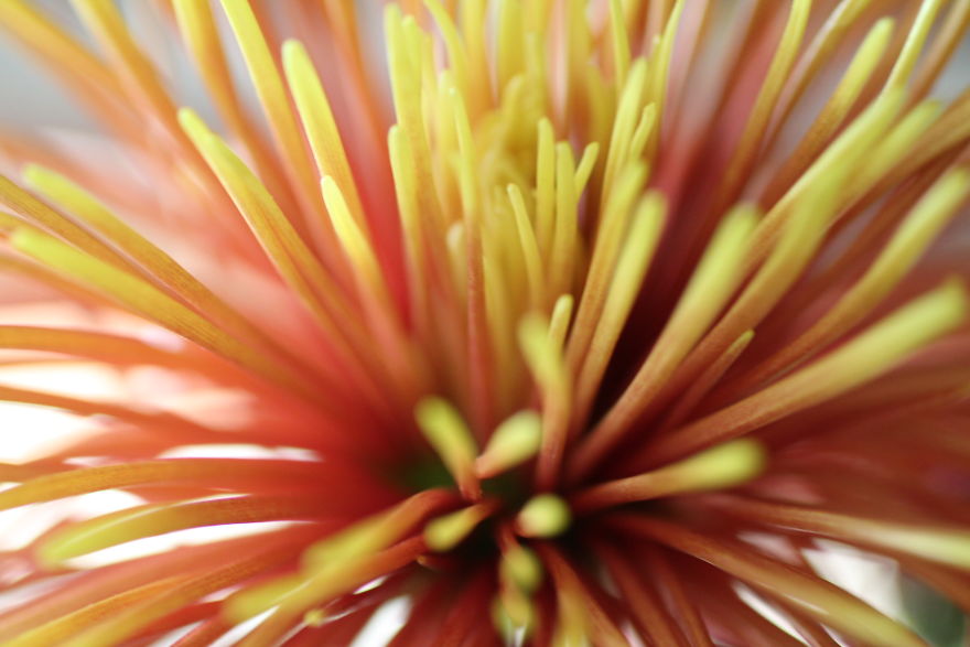 The Story Of How I Got My Camera And My Journey Of Figuring Out Photography