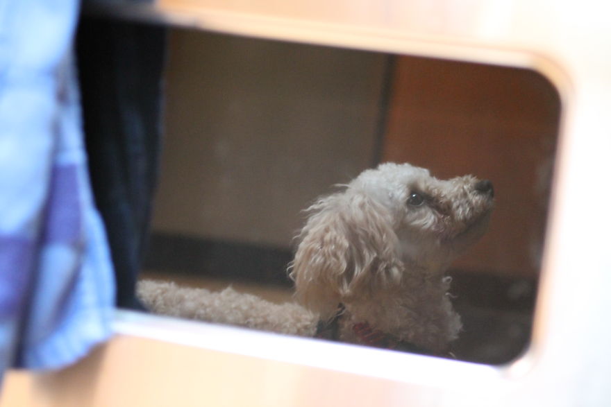 The Story Of How I Got My Camera And My Journey Of Figuring Out Photography The Story Of How I Got My Camera And My Journey Of Figuring Out Photography