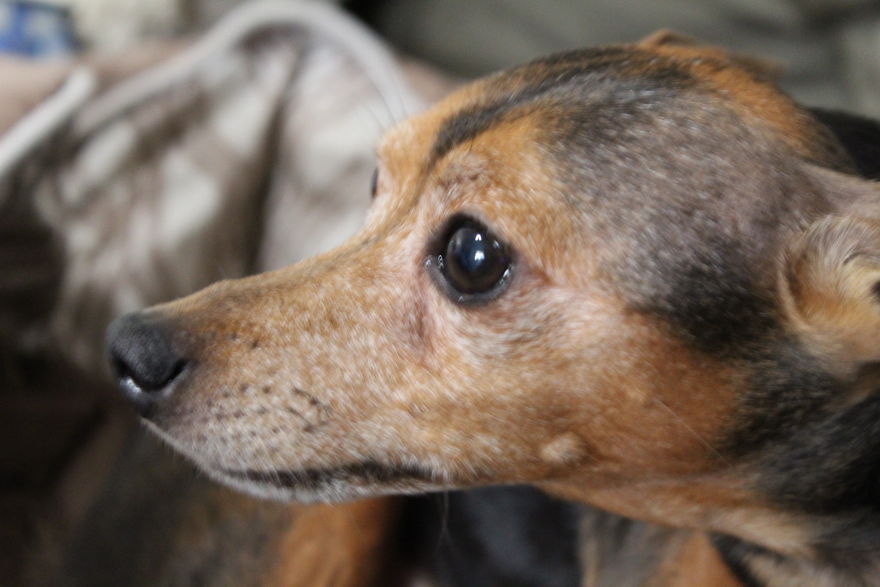 The Story Of How I Got My Camera And My Journey Of Figuring Out Photography