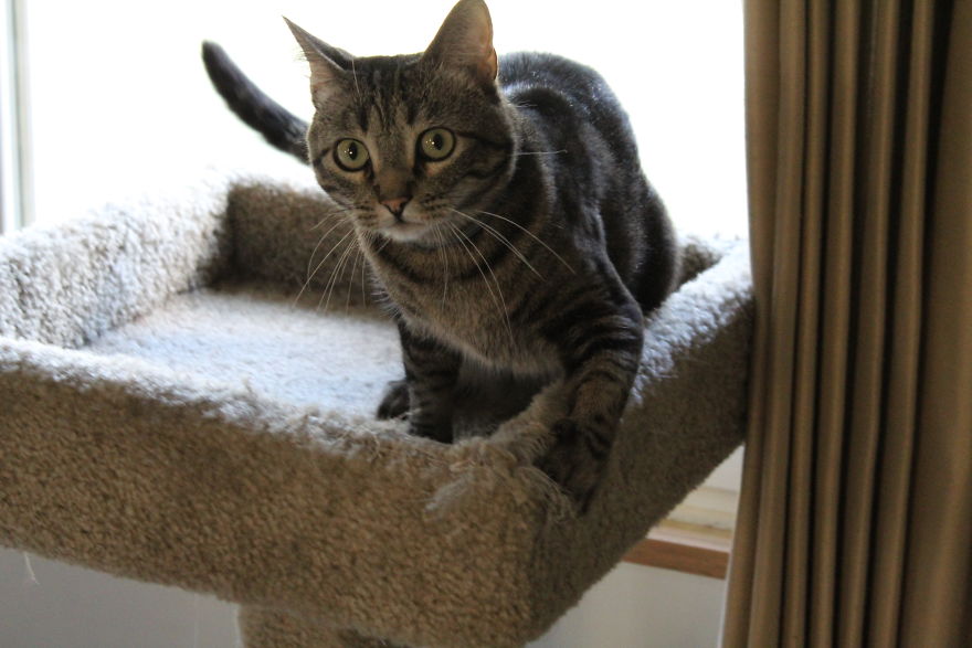 The Story Of How I Got My Camera And My Journey Of Figuring Out Photography The Story Of How I Got My Camera And My Journey Of Figuring Out Photography