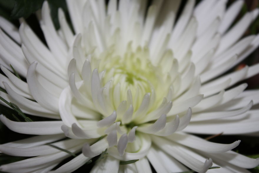 The Story Of How I Got My Camera And My Journey Of Figuring Out Photography