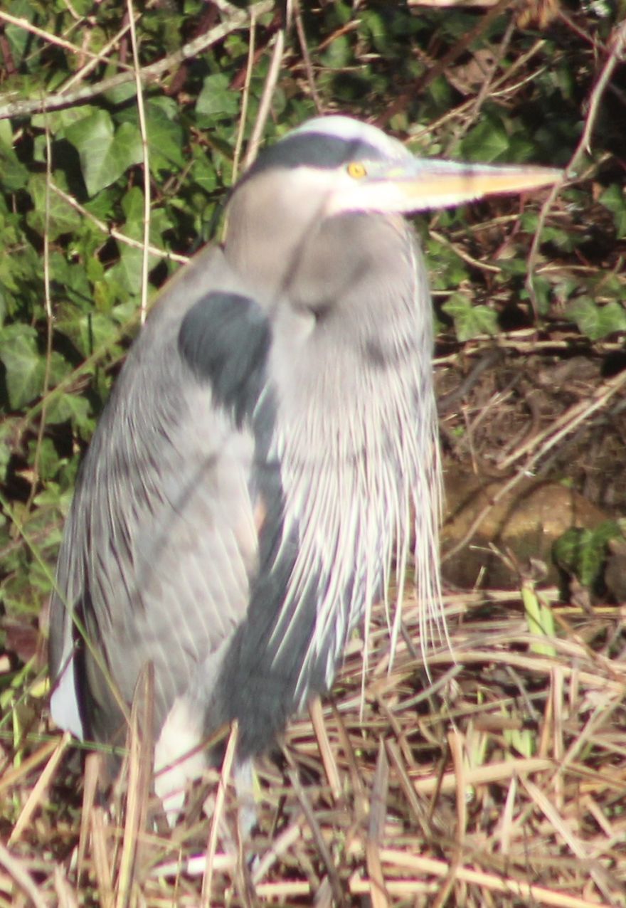 The Story Of How I Got My Camera And My Journey Of Figuring Out Photography