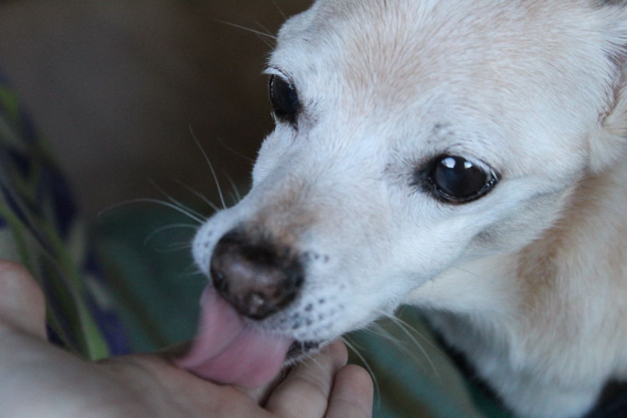 The Story Of How I Got My Camera And My Journey Of Figuring Out Photography