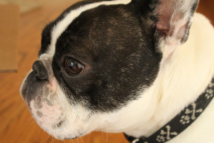 The Story Of How I Got My Camera And My Journey Of Figuring Out Photography The Story Of How I Got My Camera And My Journey Of Figuring Out Photography