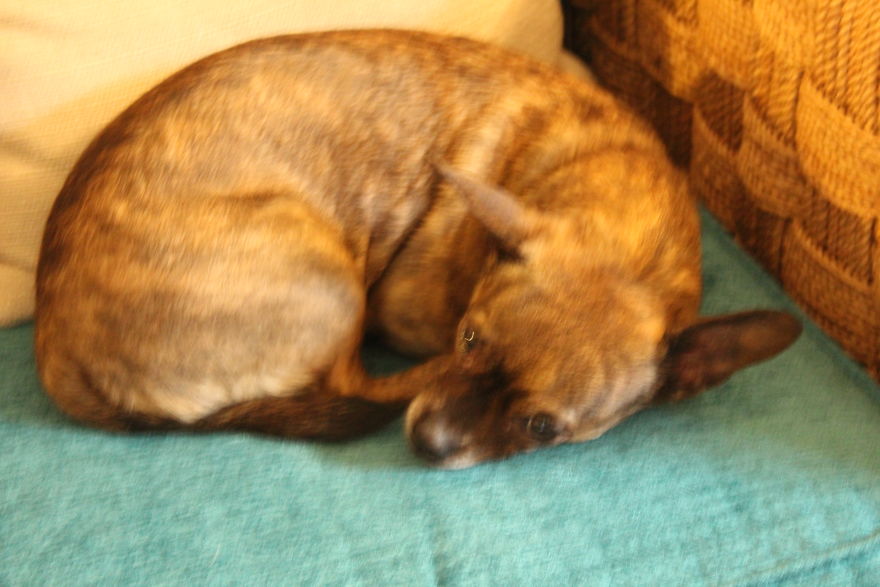 The Story Of How I Got My Camera And My Journey Of Figuring Out Photography The Story Of How I Got My Camera And My Journey Of Figuring Out Photography