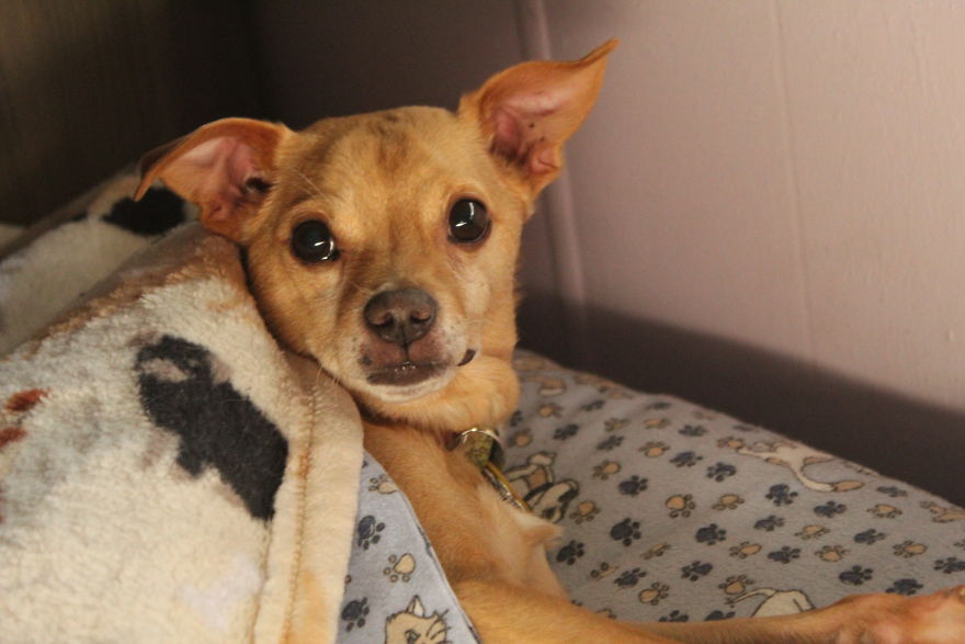 The Story Of How I Got My Camera And My Journey Of Figuring Out Photography