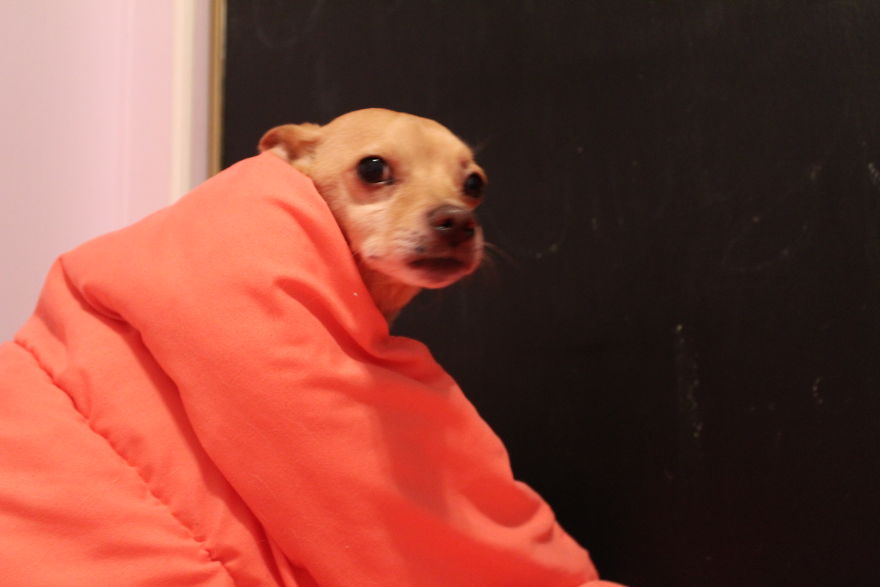 The Story Of How I Got My Camera And My Journey Of Figuring Out Photography The Story Of How I Got My Camera And My Journey Of Figuring Out Photography