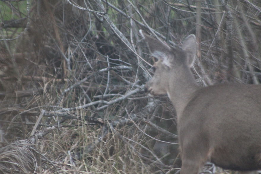 The Story Of How I Got My Camera And My Journey Of Figuring Out Photography