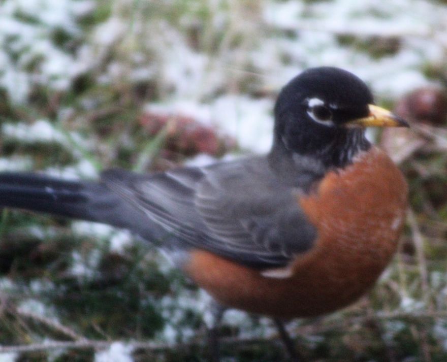 The Story Of How I Got My Camera And My Journey Of Figuring Out Photography