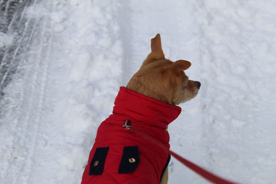 The Story Of How I Got My Camera And My Journey Of Figuring Out Photography The Story Of How I Got My Camera And My Journey Of Figuring Out Photography