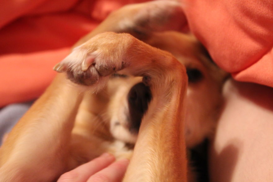 The Story Of How I Got My Camera And My Journey Of Figuring Out Photography