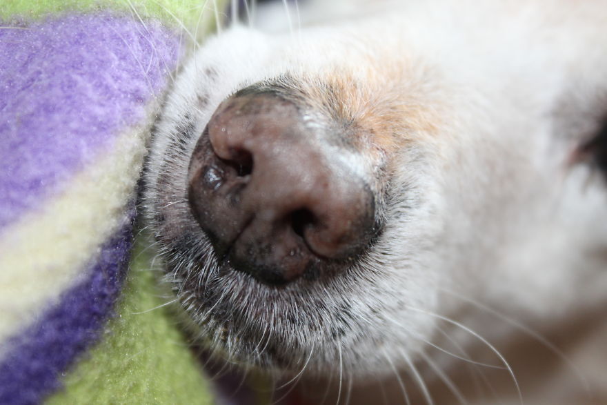 The Story Of How I Got My Camera And My Journey Of Figuring Out Photography