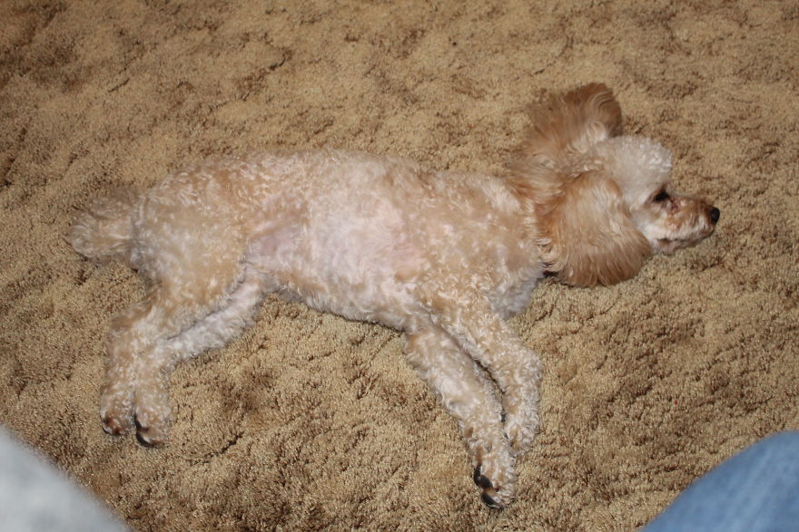 The Story Of How I Got My Camera And My Journey Of Figuring Out Photography