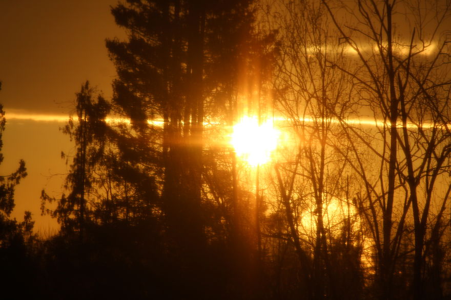 The Story Of How I Got My Camera And My Journey Of Figuring Out Photography