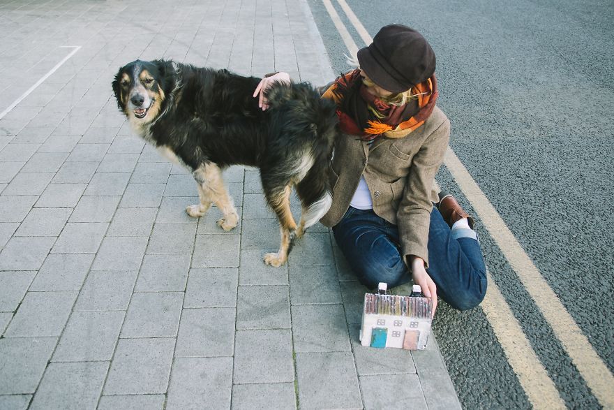Project "Little Irish House" For Stray Animals In Lithuania Project "Little Irish House" For Stray Animals In Lithuania