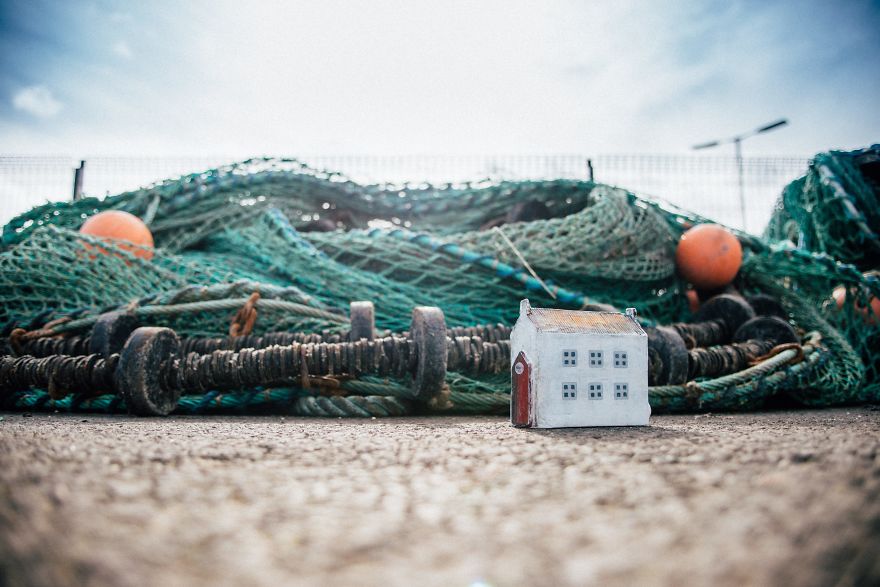 Project "Little Irish House" For Stray Animals In Lithuania Project "Little Irish House" For Stray Animals In Lithuania