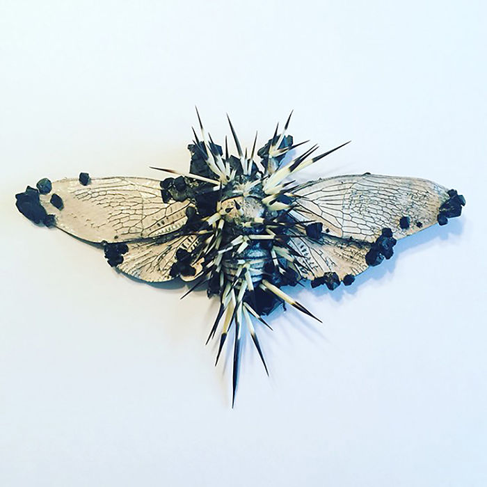 Cicada Art - Self Defense 1