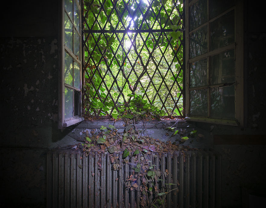 Nature Ignoring The Boundaries Set