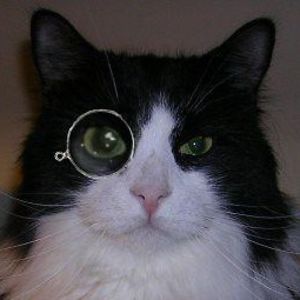 (((Sherlocat))) she/her