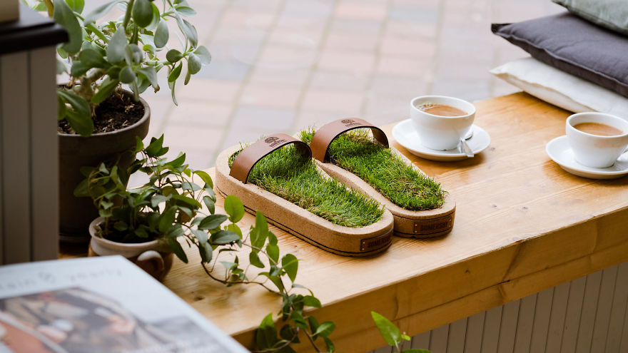 Finally You Can Grow-Your-Own Grass Sandals Finally You Can Grow-Your-Own Grass Sandals