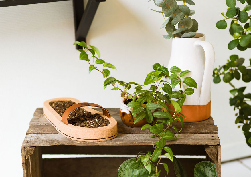 Finally You Can Grow-Your-Own Grass Sandals